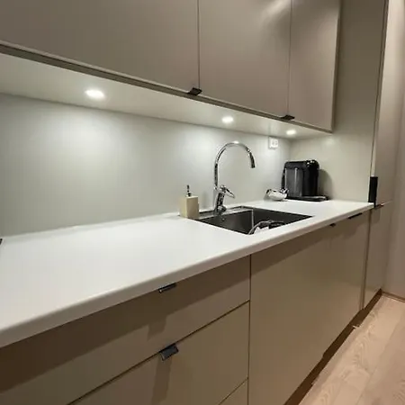 Modern Luxury Apartment, Two Bedrooms And Two Big Beds דירה